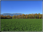 foto Paesaggi Autunnali tra le colline Fontesi